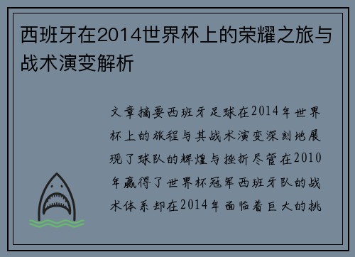 西班牙在2014世界杯上的荣耀之旅与战术演变解析